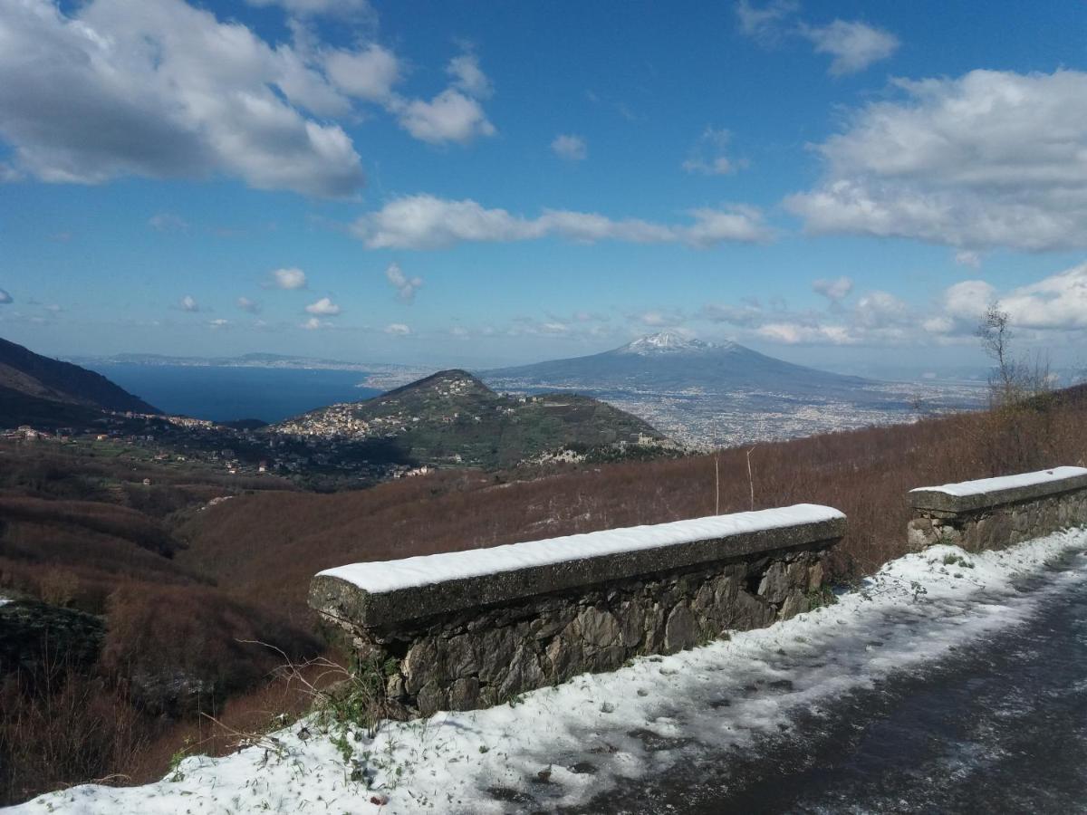 Bed and Breakfast Il Ceppo Sui Sentieri Per Amalfi Pimonte Zewnętrze zdjęcie