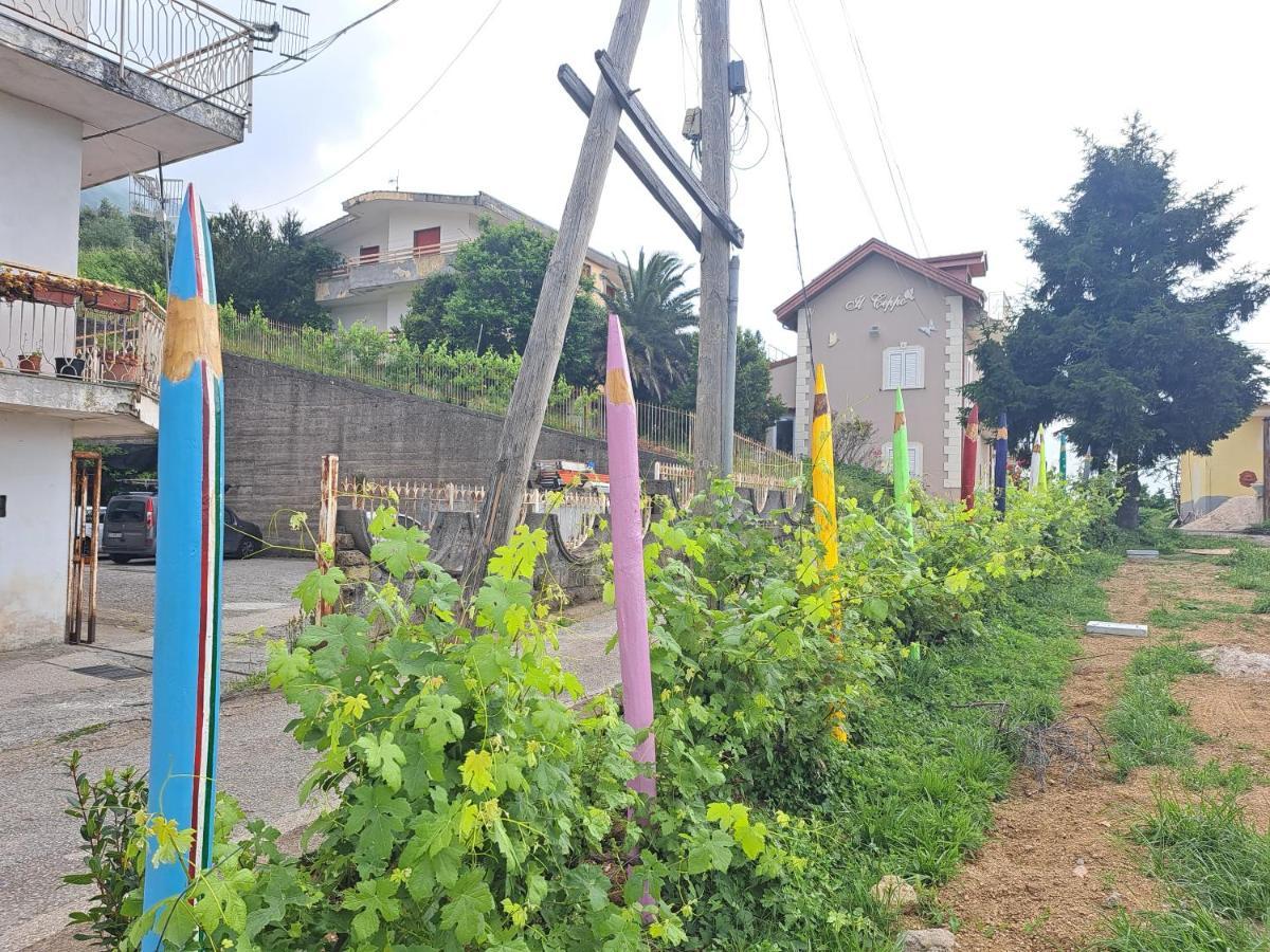 Bed and Breakfast Il Ceppo Sui Sentieri Per Amalfi Pimonte Zewnętrze zdjęcie